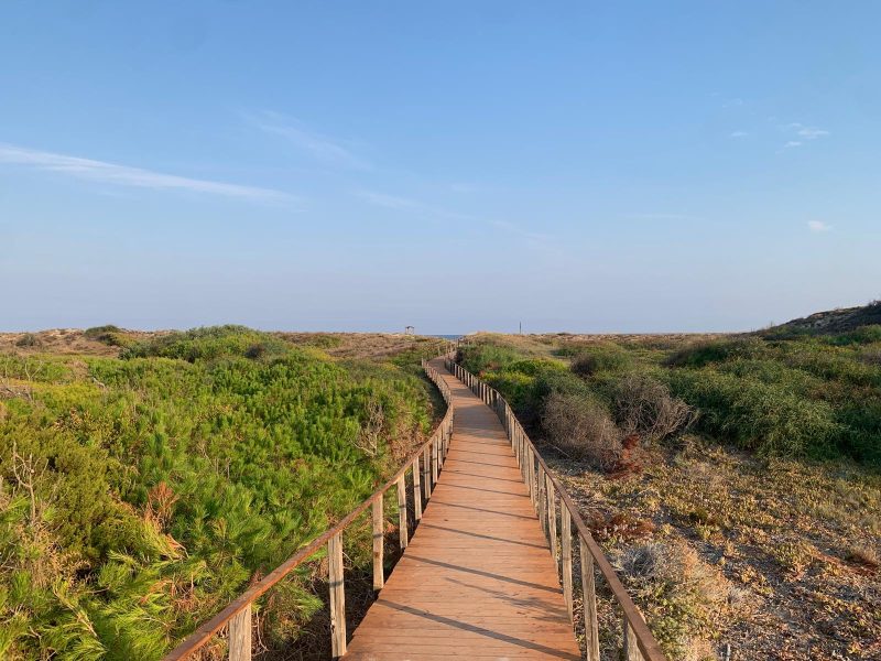 SPIAGGIA LI JUNCHI - PASSARELLA